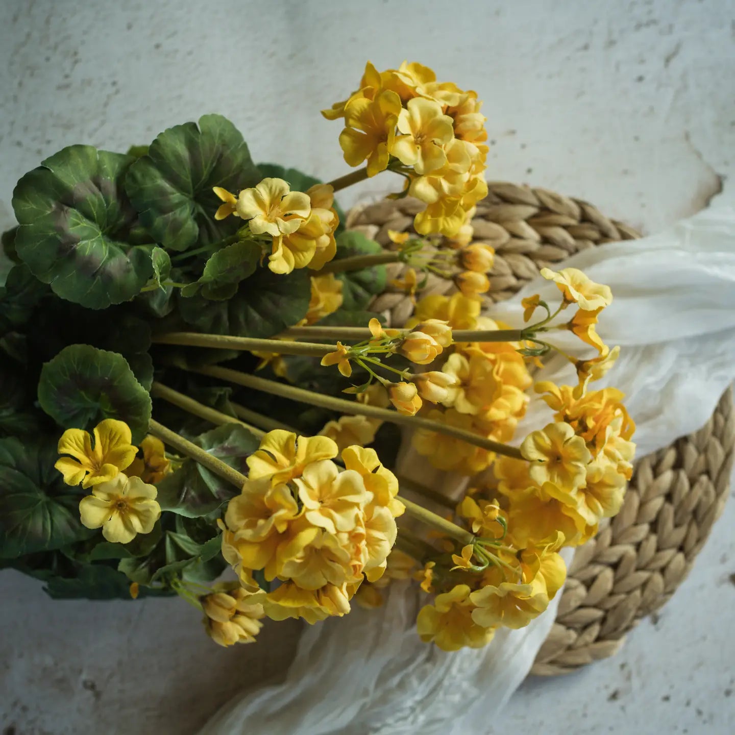 19.5" Yellow Geranium Bush