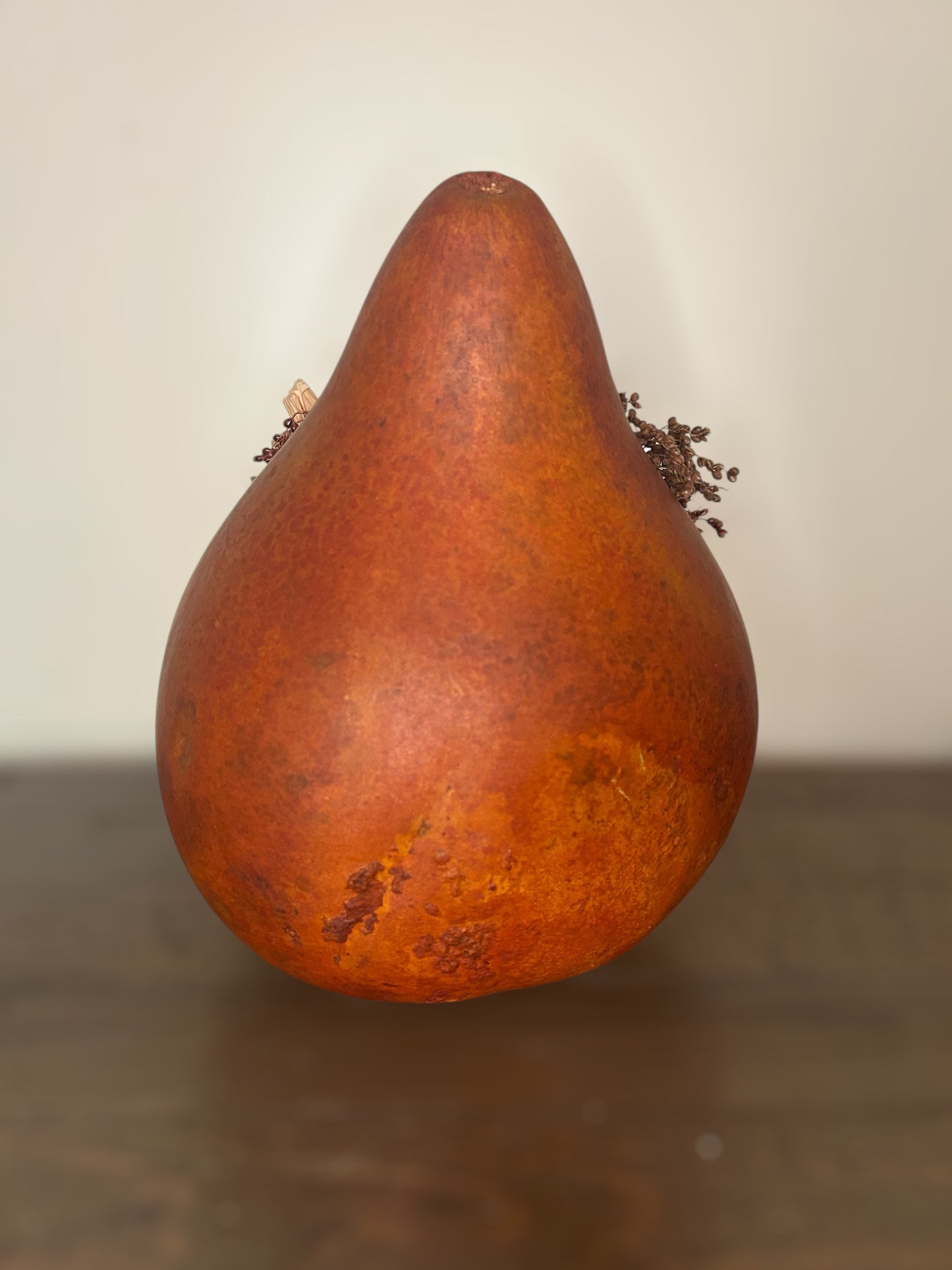 Gourd