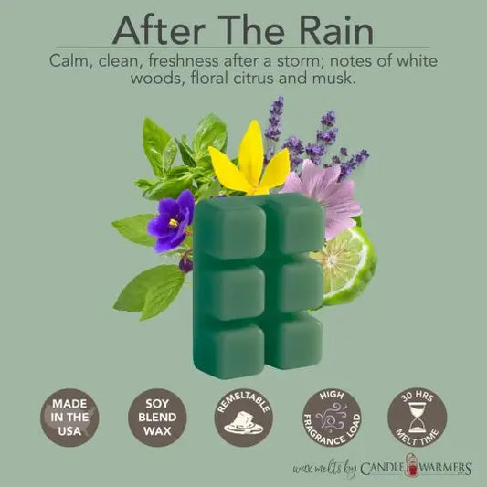 After the Rain- wax melts