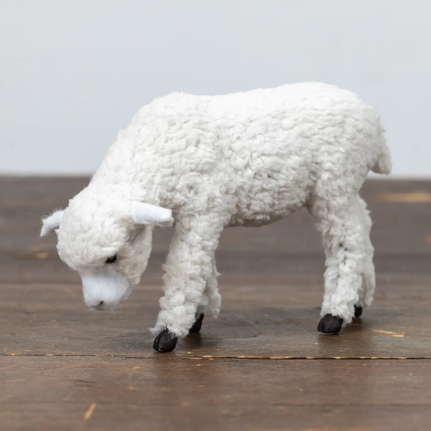 Grazing Sheep