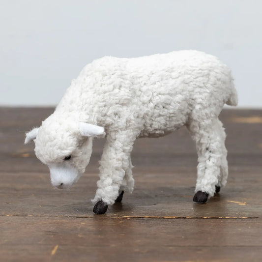 Grazing Sheep