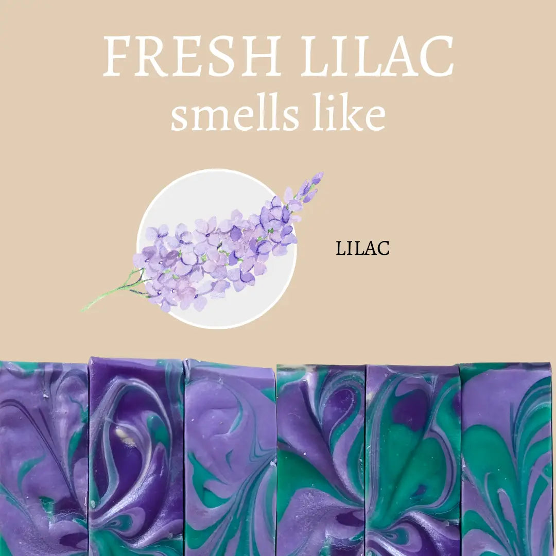 Fresh Lilac