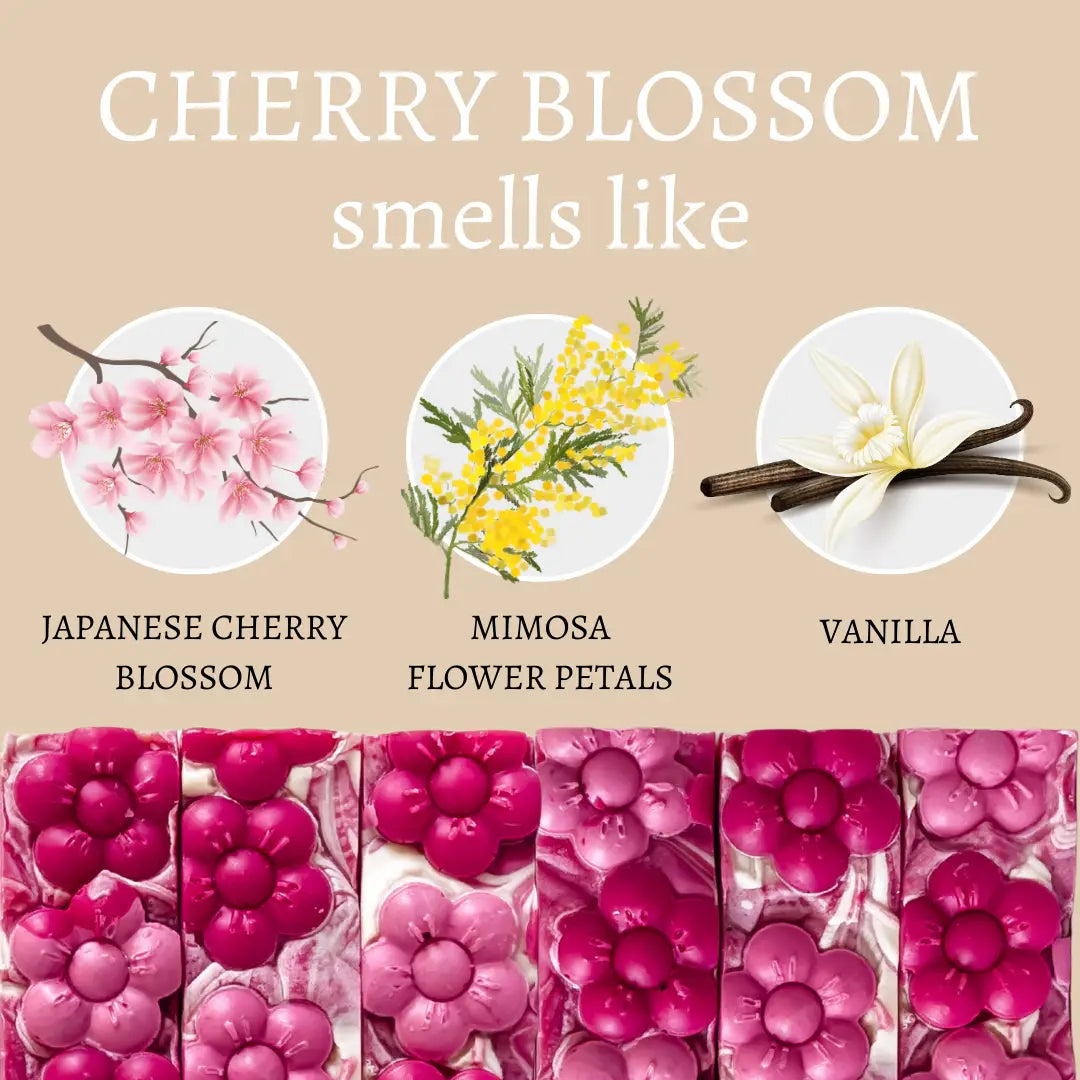 Cherry Blossom